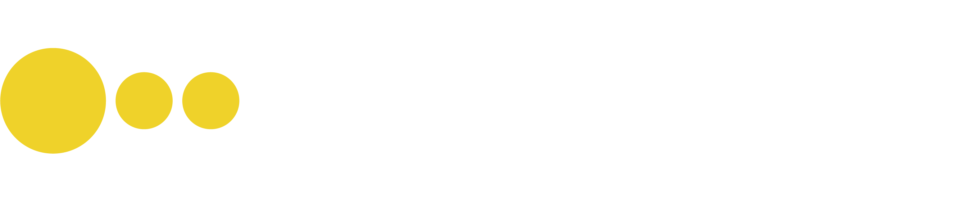 Logo de la Compañía